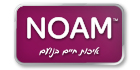 noam